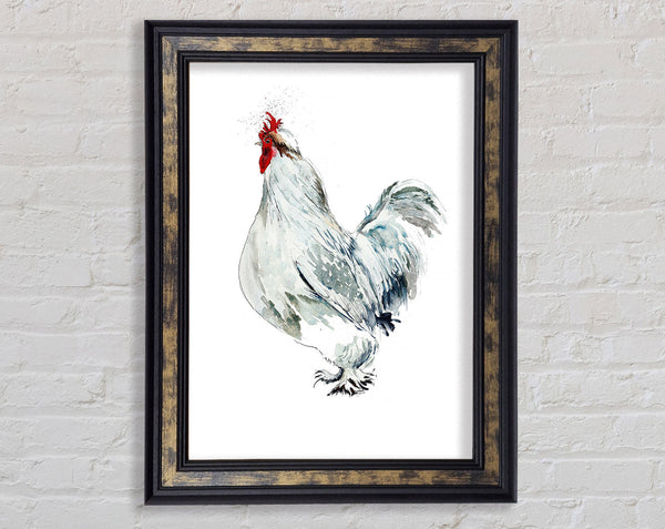 White Hen Framed Print