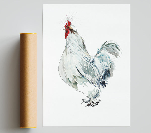 White Hen Poster
