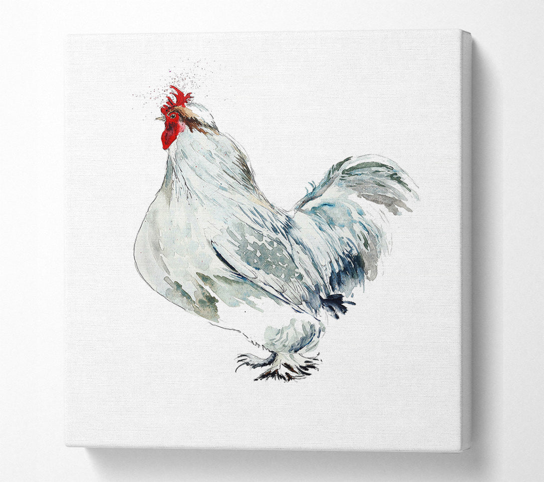  A Canvas Print of White Hen Canvas Wall Art
