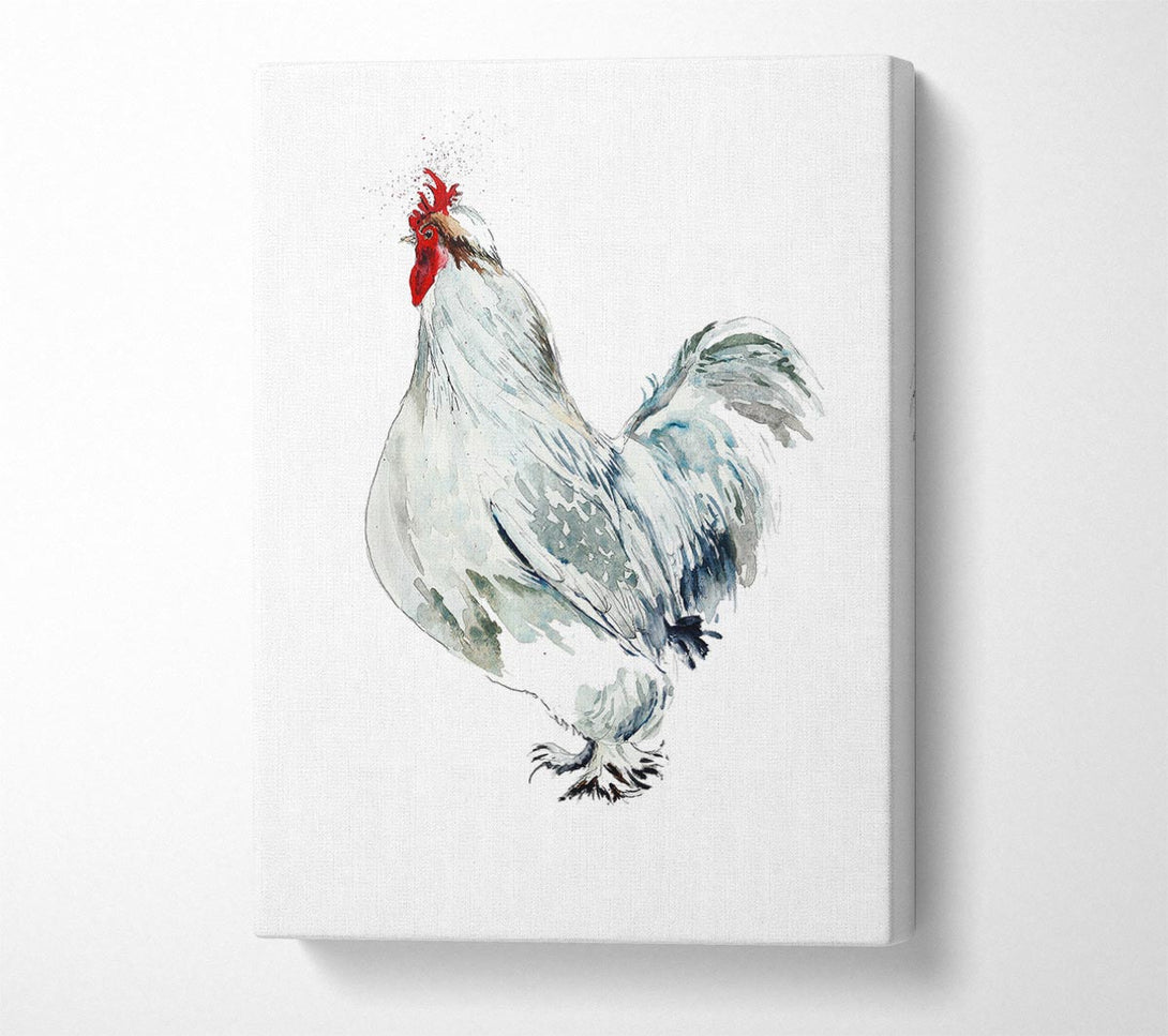 A Canvas Print of White Hen Canvas Wall Art