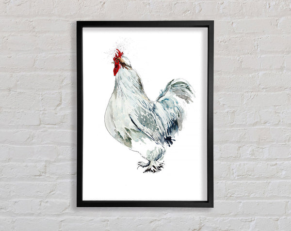 White Hen Framed Print