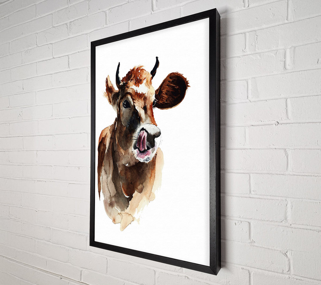  A Canvas Print of Cow Licking Good Canvas Print