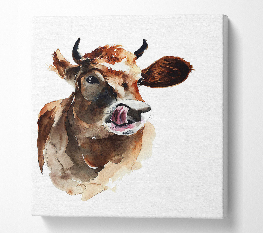  A Canvas Print of Cow Licking Good Canvas Print