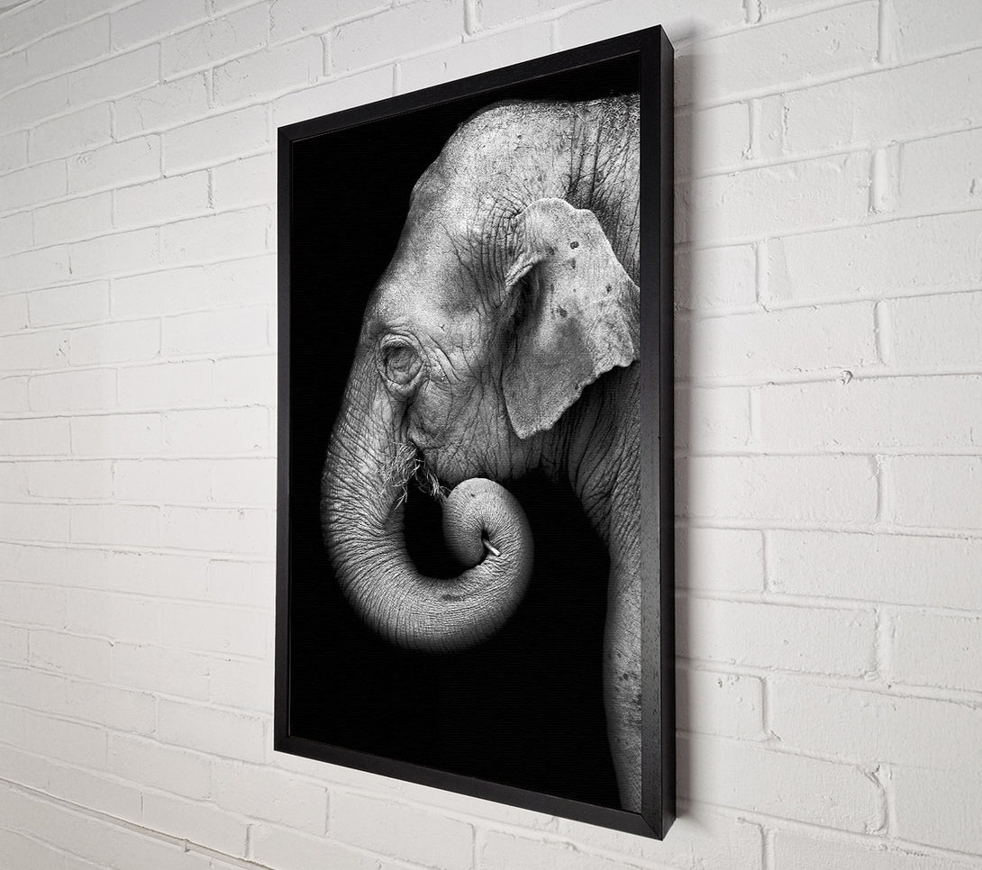  A Canvas Print of Elephant Face Canvas Wall Art