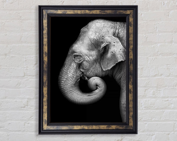 Elephant Face Framed Print