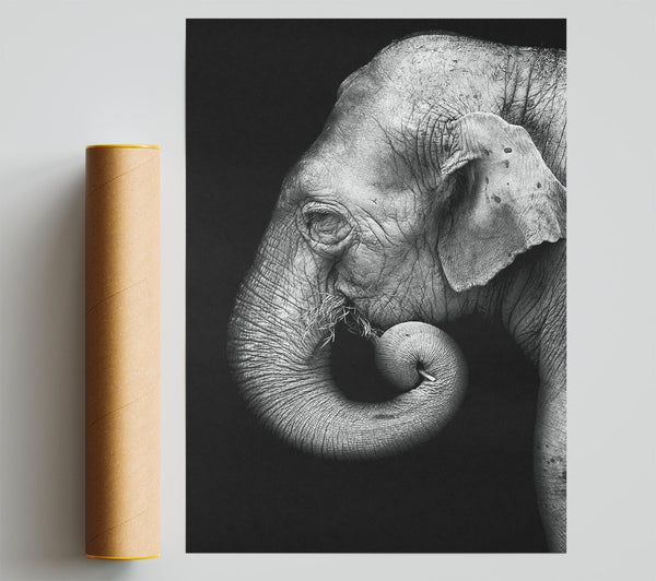Elephant Face Giclee Print