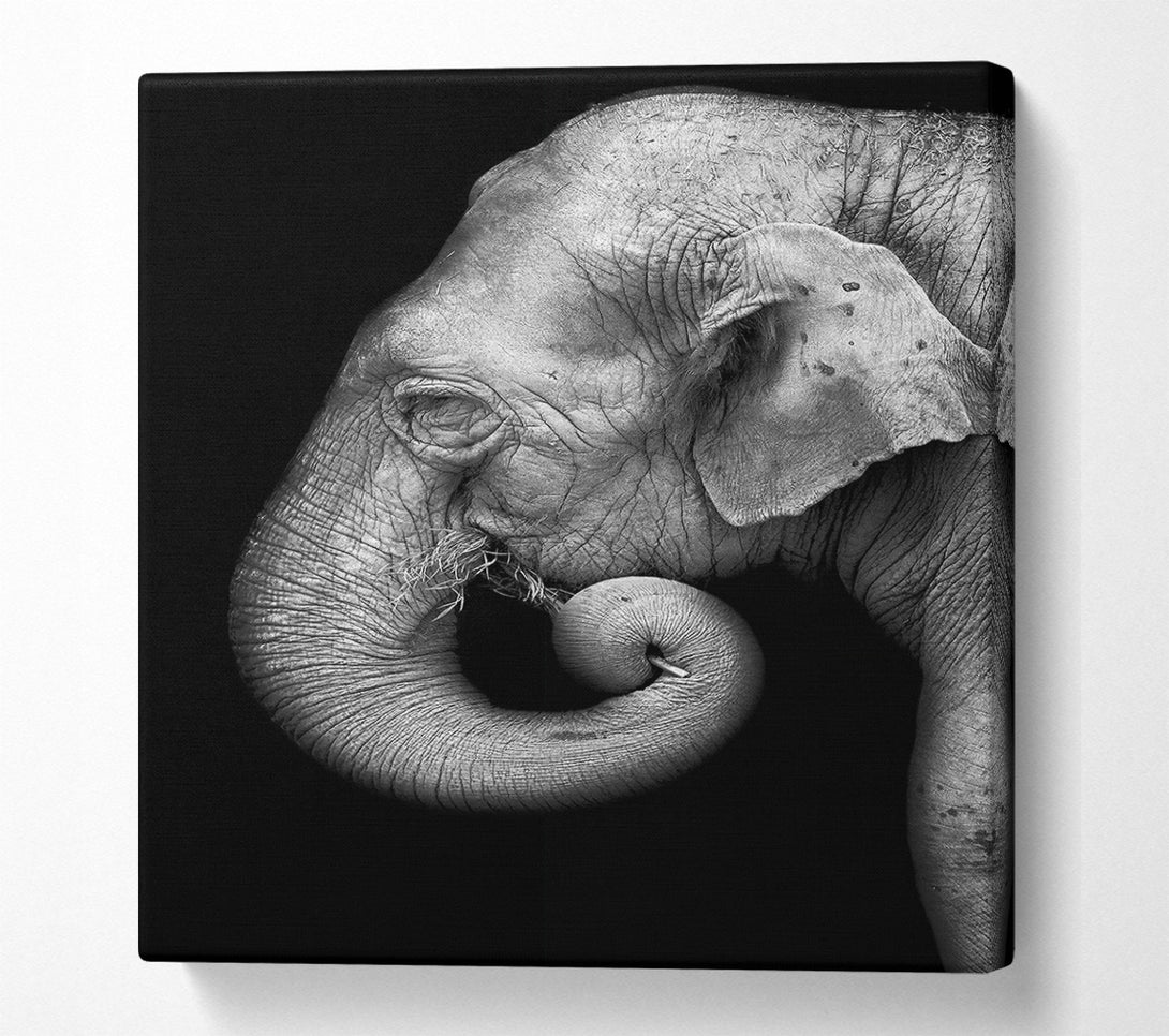  A Canvas Print of Elephant Face Canvas Wall Art