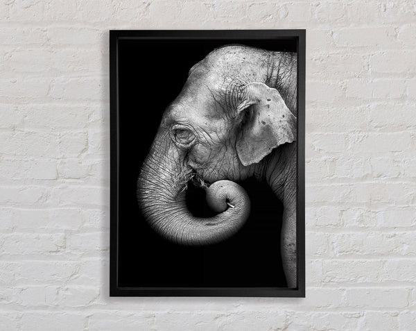 Elephant Face Framed Print