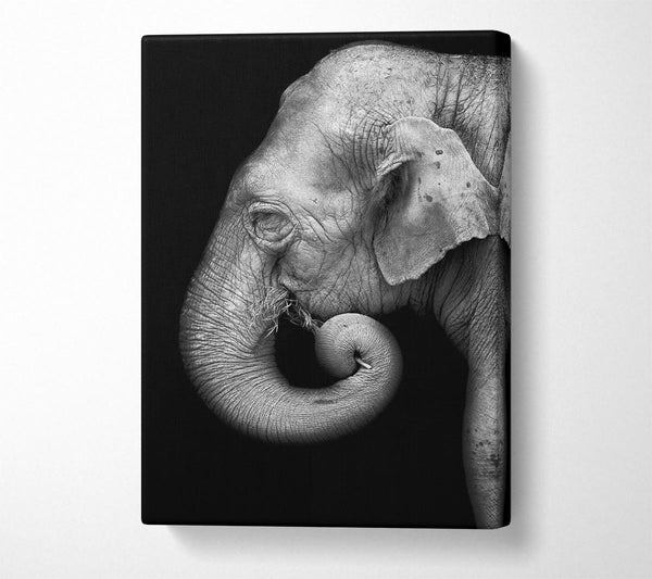  A Canvas Print of Elephant Face Canvas Wall Art