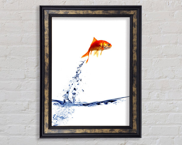 Jumping Goldfish