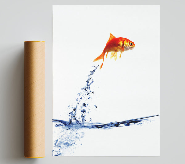 Jumping Goldfish Poster