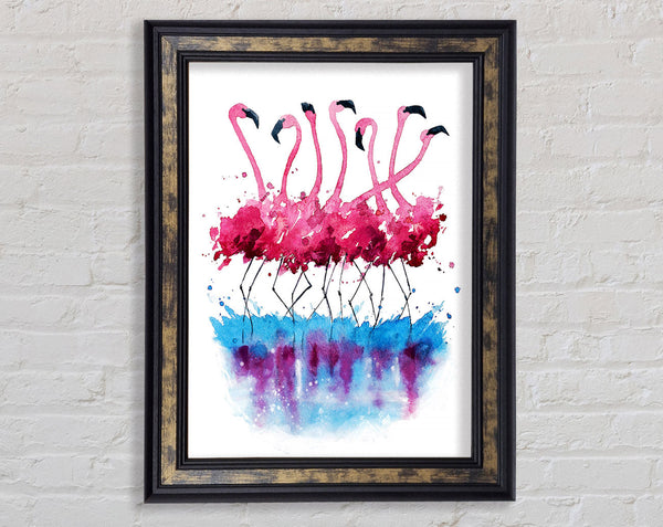Flamingo Reflections Framed Print