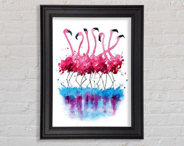 Flamingo Reflections Framed Print