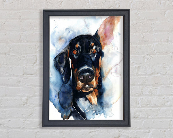 Doppy Dalmation Dog Framed Print