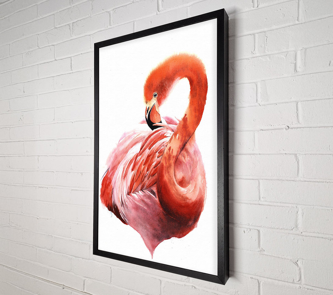  A Canvas Print of Flamingo Groom Canvas Print