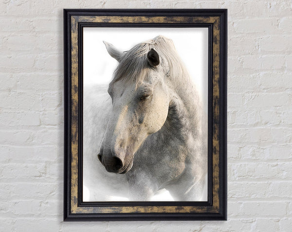 White Horse Love Framed Print