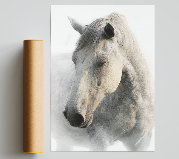 White Horse Love Poster