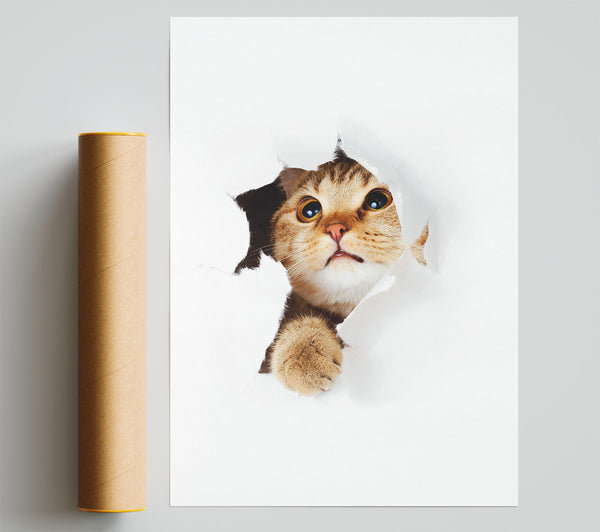 Cat Breakthrough Giclee Print