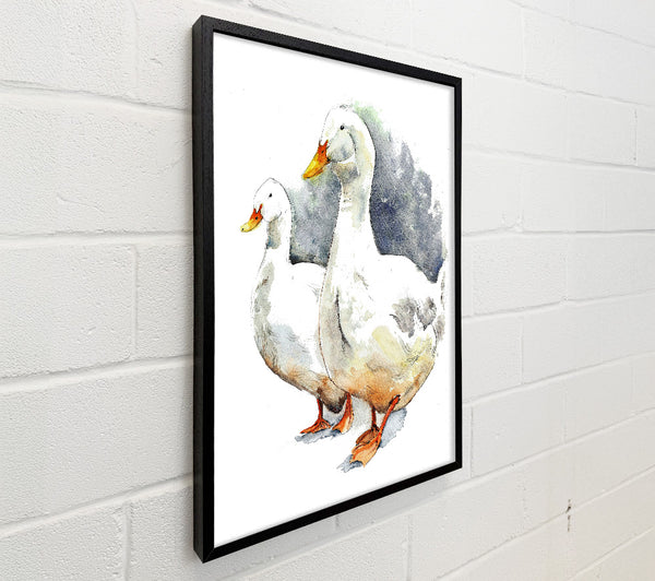 Geese
