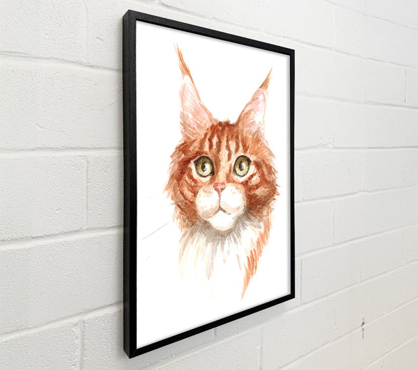 Ginger Tom Cat