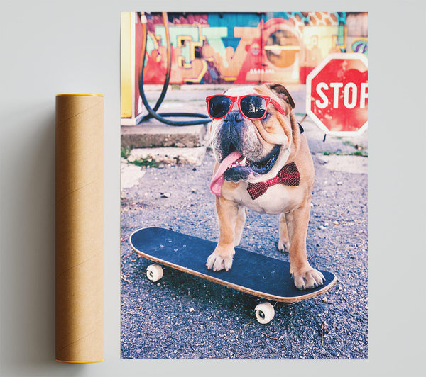 English Bulldog Skateboarding Print