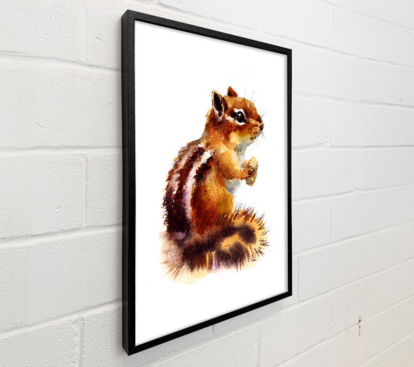 Squirrel Nuts