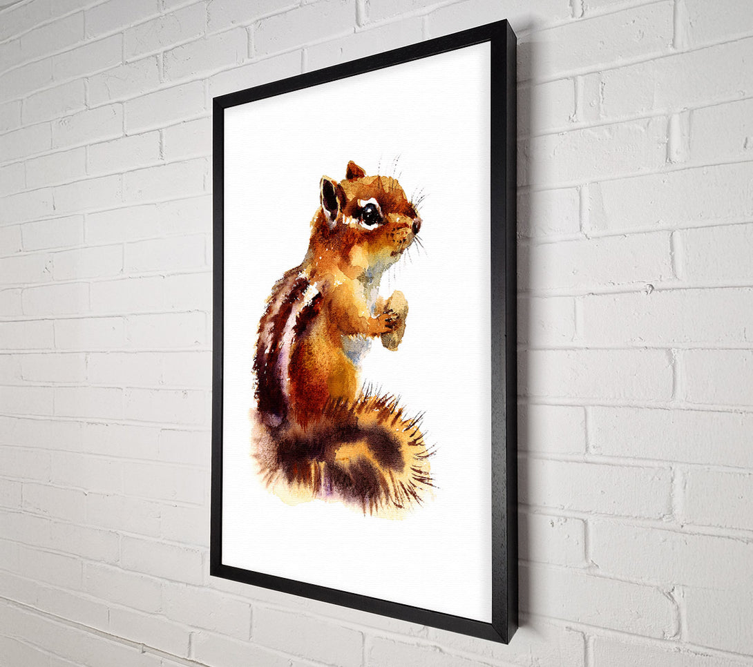  A Canvas Print of Squirrel Nuts Canvas Wall Art