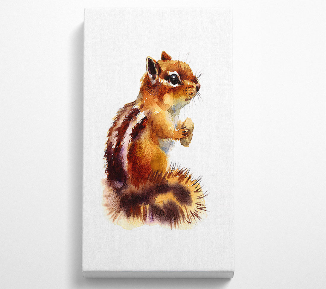  A Canvas Print of Squirrel Nuts Canvas Wall Art