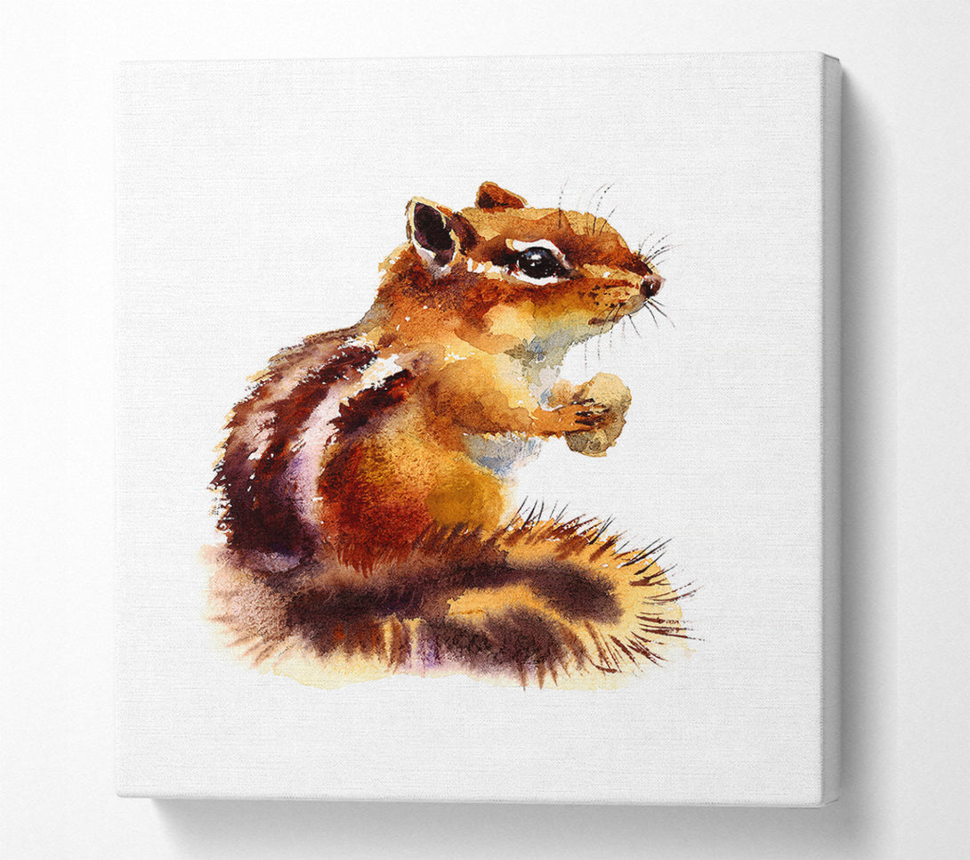  A Canvas Print of Squirrel Nuts Canvas Wall Art