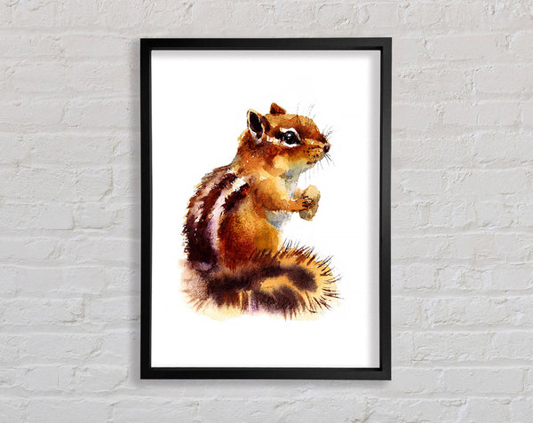 Squirrel Nuts Framed Print