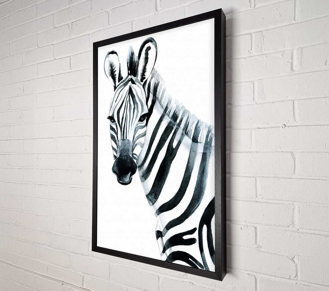  A Canvas Print of Zebra Face Canvas Print