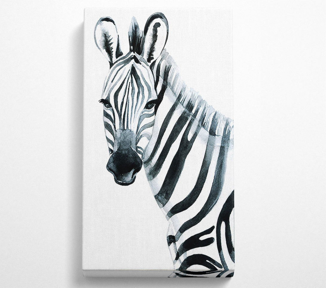  A Canvas Print of Zebra Face Canvas Print