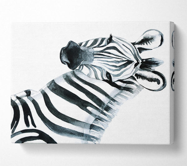  A Canvas Print of Zebra Face Canvas Print
