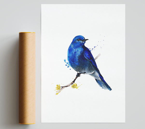 Bluebird On Apple Blossom Poster