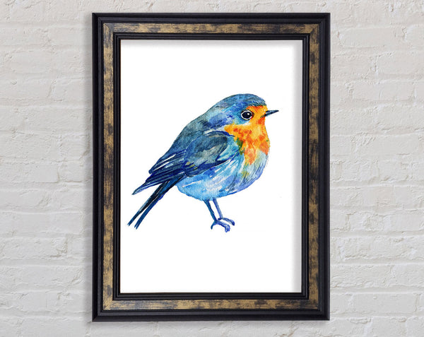 Robin Framed Print