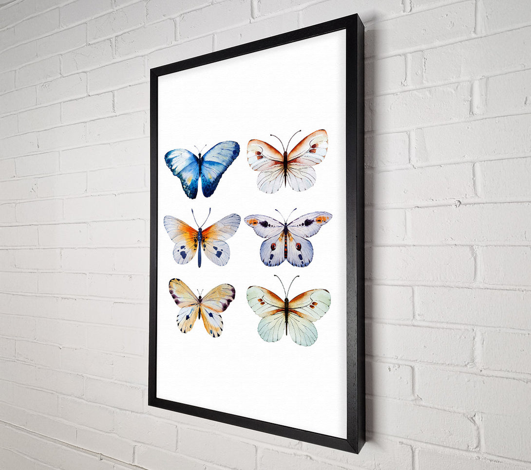  A Canvas Print of Butterfly Breeds Canvas Art