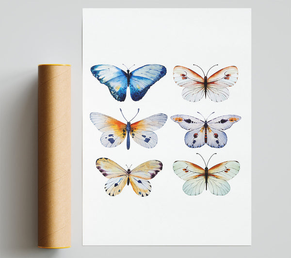 Butterfly Breeds Giclee Print