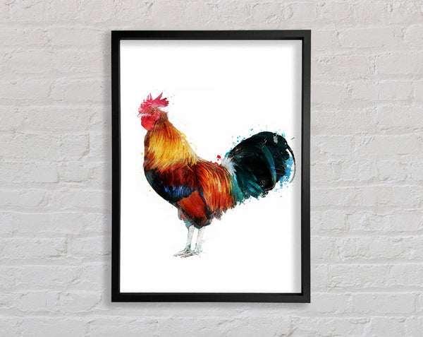 Rooster Framed Print