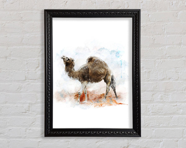Camel Trek Framed Print