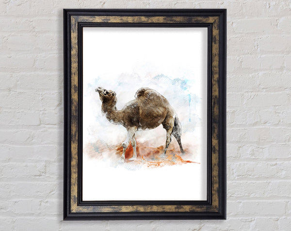 Camel Trek Framed Print