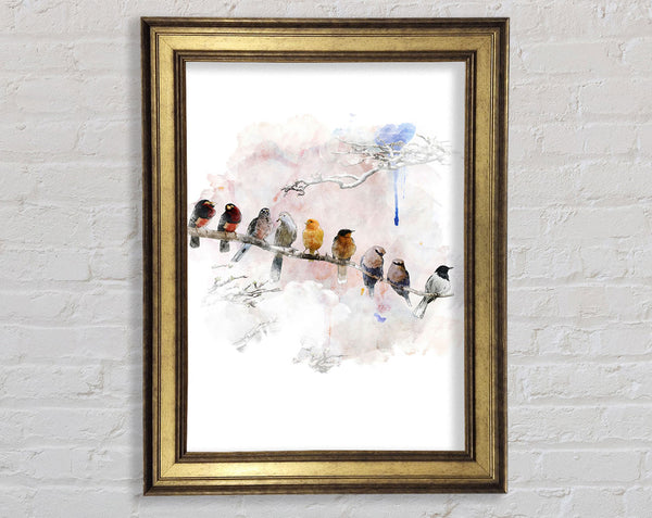 Bird Gossip Framed Print