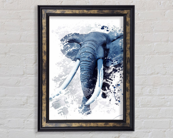 Elephant Grey Framed Print