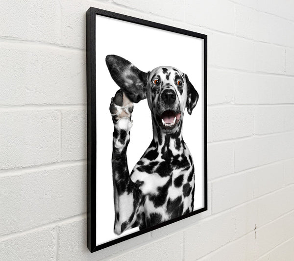 Dalmation Dog High Five