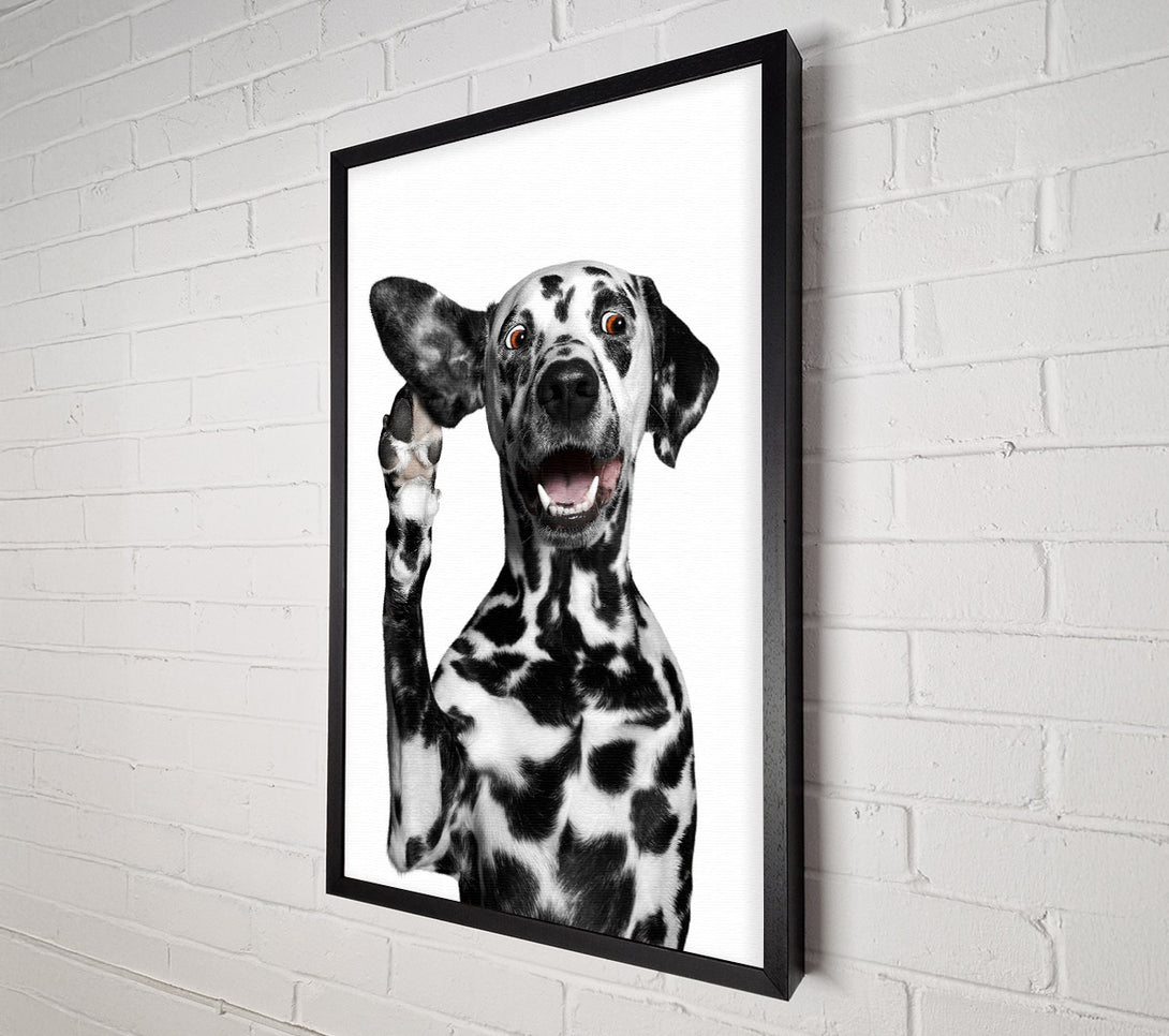  A Canvas Print of Dalmation Dog High Five Canvas Art