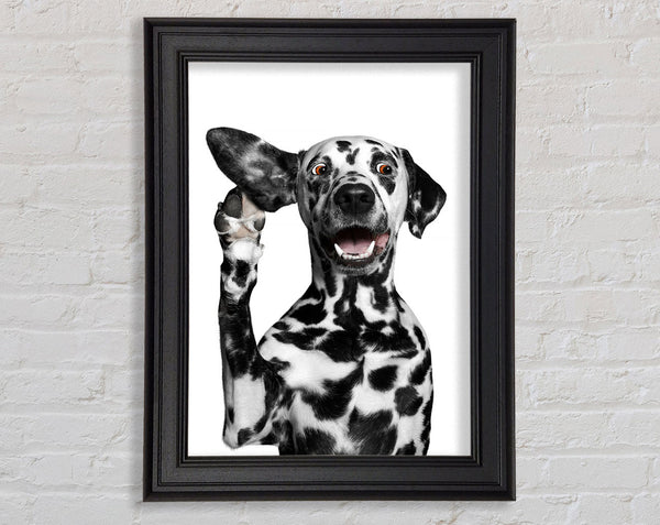 Dalmation Dog High Five Framed Print