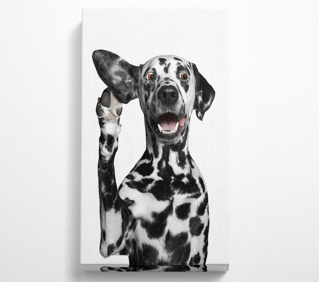 A Canvas Print of Dalmation Dog High Five Canvas Art