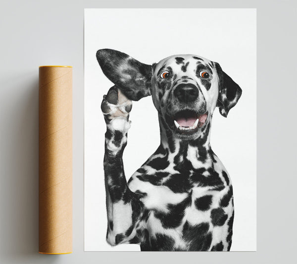 Dalmation Dog High Five Print