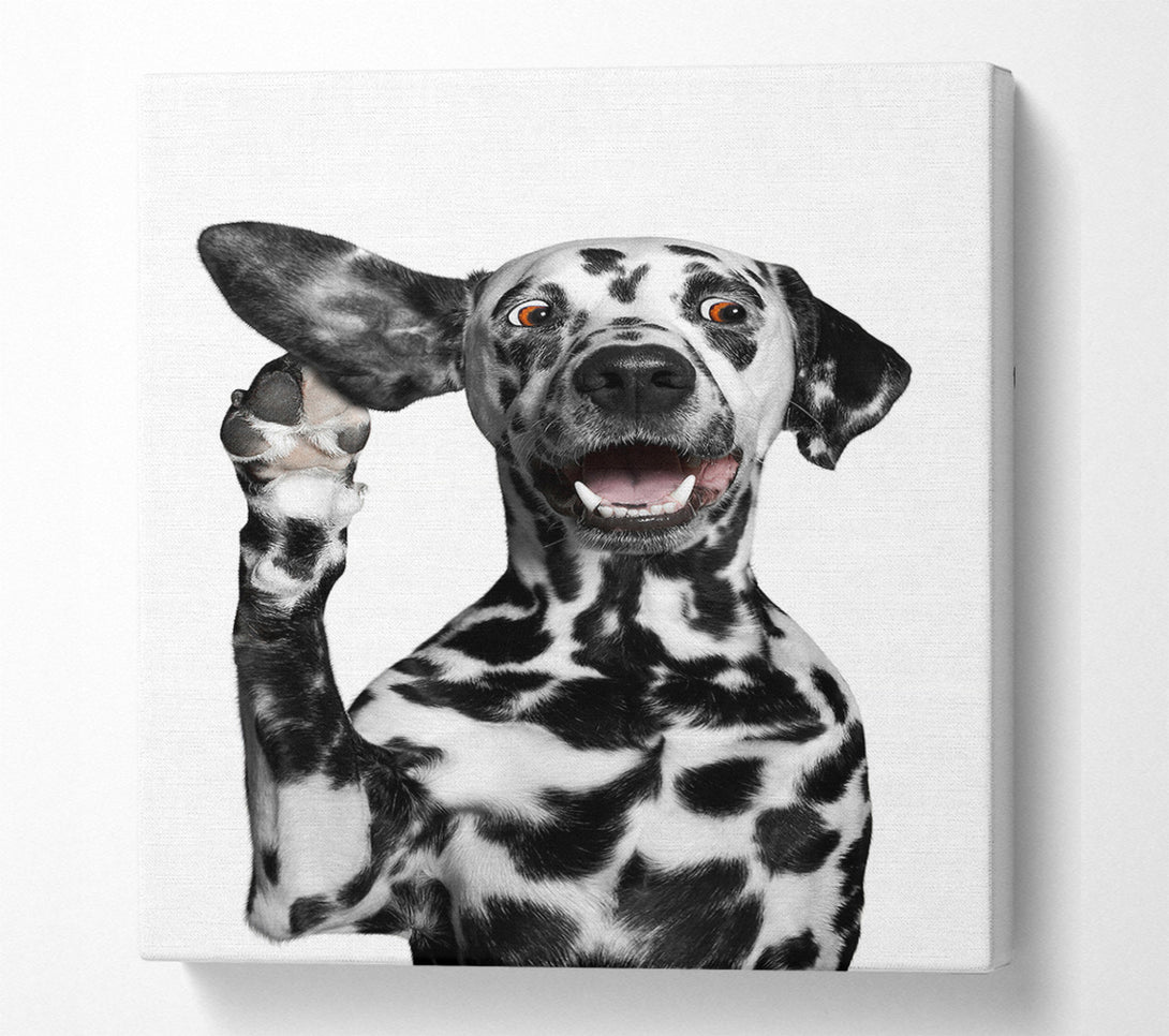  A Canvas Print of Dalmation Dog High Five Canvas Art
