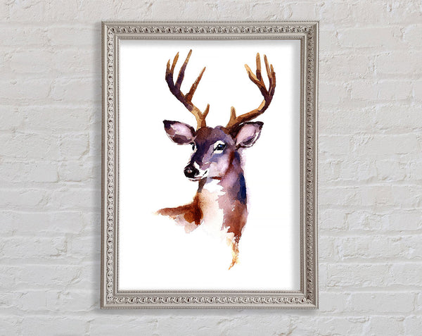 Female Deer Framed Print