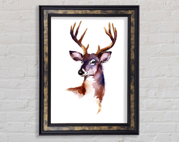 Female Deer Framed Print